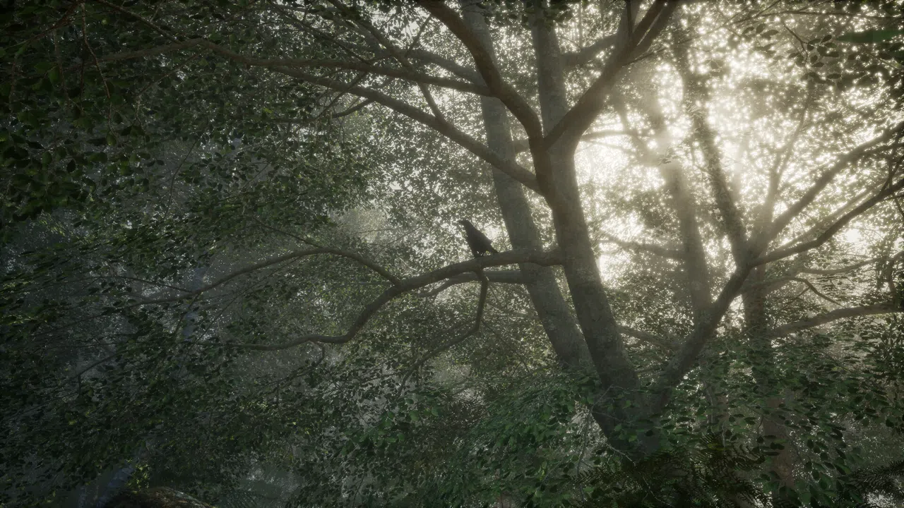 Obey the Rules: Forest Screenshot 5