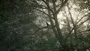 Obey the Rules: Forest Screenshot 5