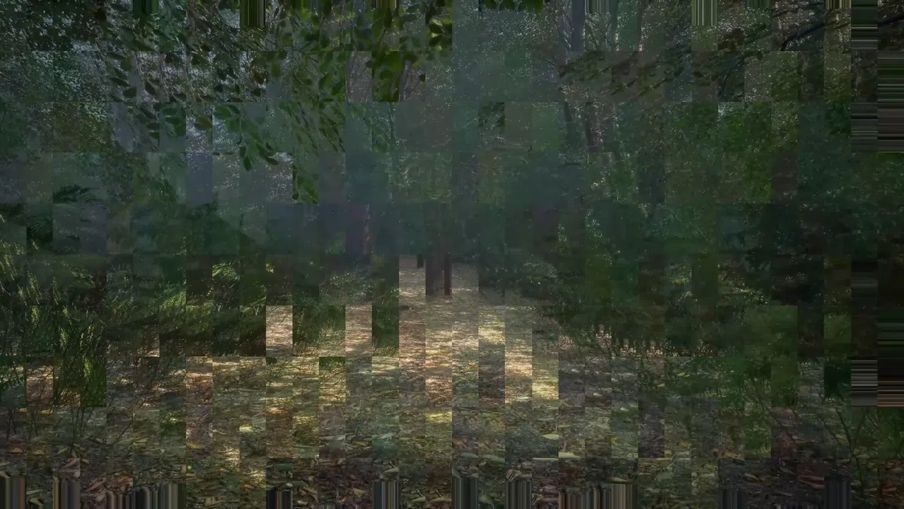 Obey the Rules: Forest Screenshot 3