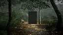 Obey the Rules: Forest Screenshot 2