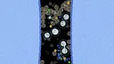 Leukocyte Screenshot 4
