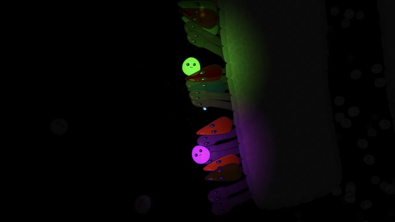 Leukocyte Screenshot 3