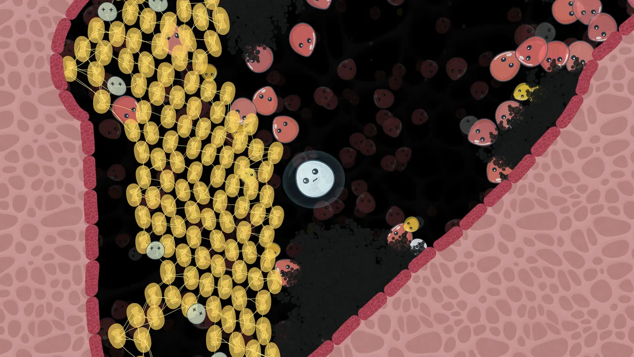 Leukocyte Screenshot 2