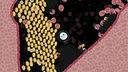 Leukocyte Screenshot 2