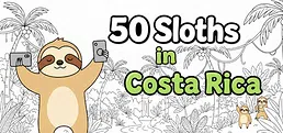 50 Sloths in Costa Rica
