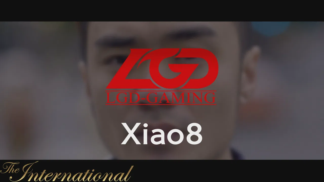 Dota 2 Player Profiles Screenshot 20