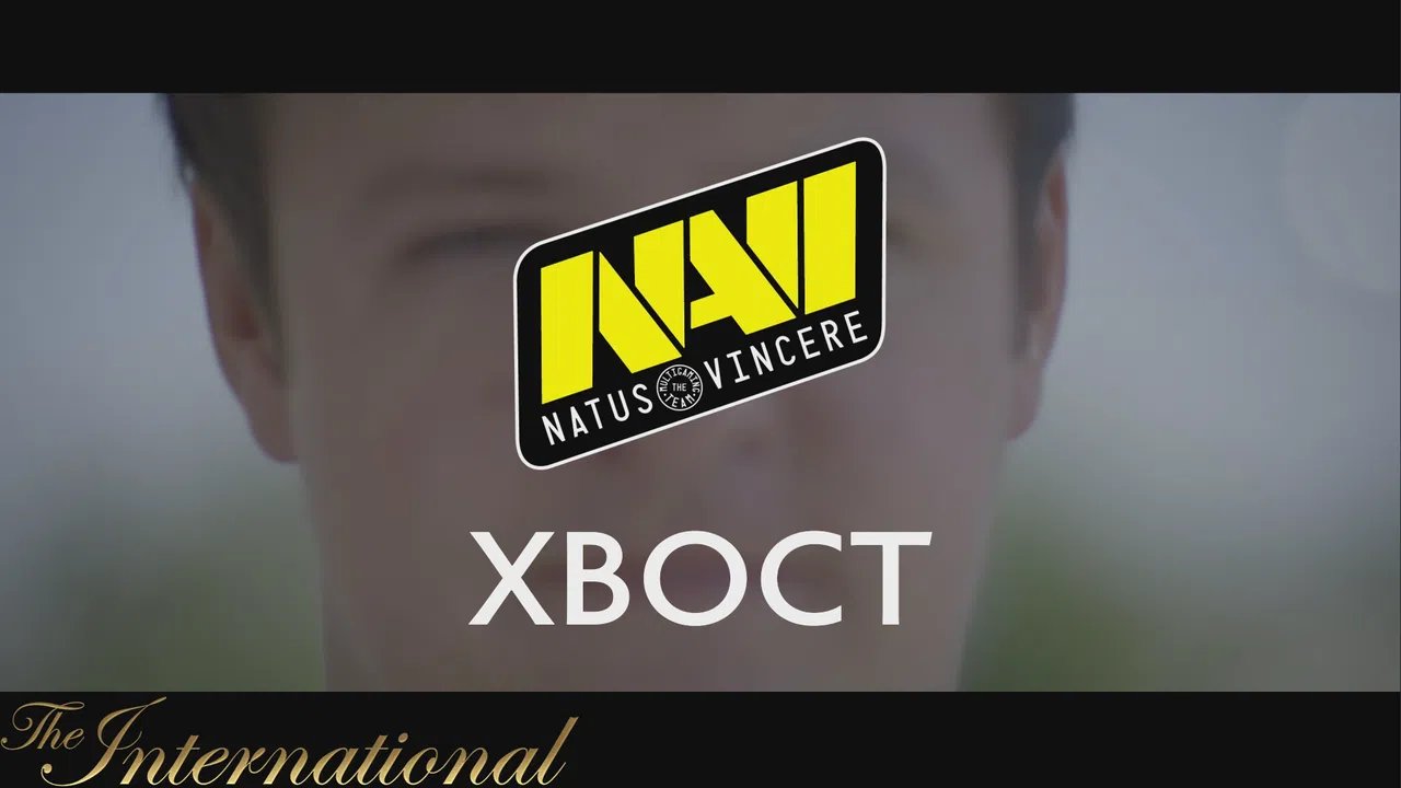 Dota 2 Player Profiles Screenshot 14