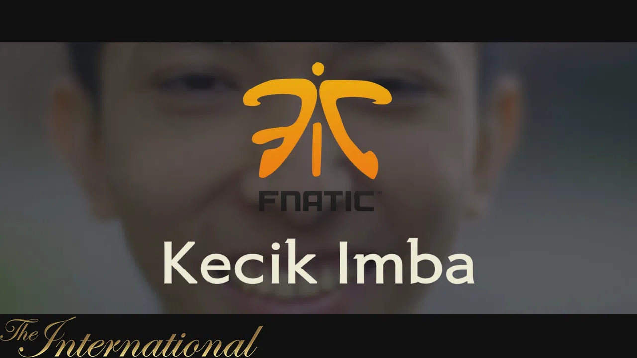 Dota 2 Player Profiles Screenshot 12
