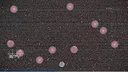 Germ Swarm: Evolution & Mutation Screenshot 7
