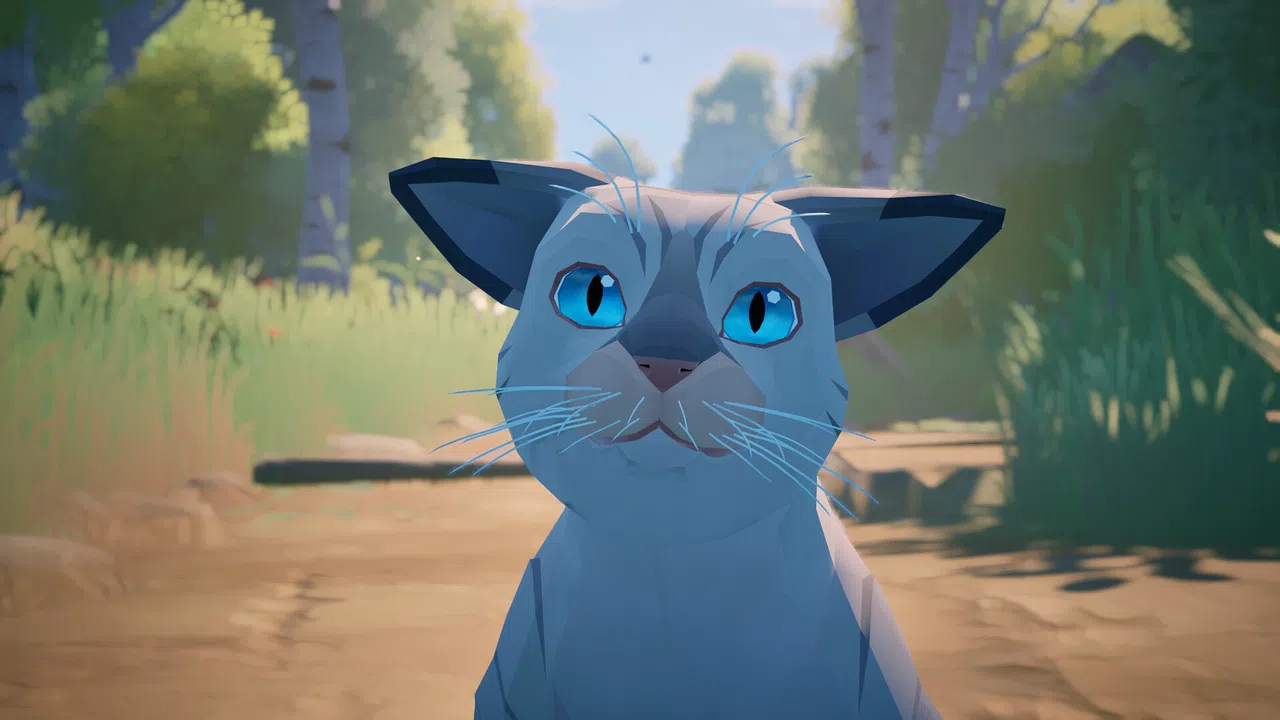 Cat a Photo Screenshot 6
