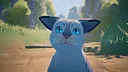 Cat a Photo Screenshot 6