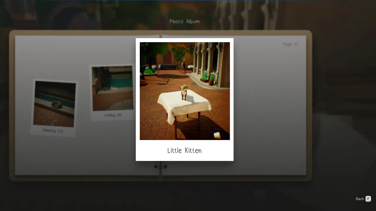 Cat a Photo Screenshot 5