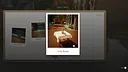 Cat a Photo Screenshot 5