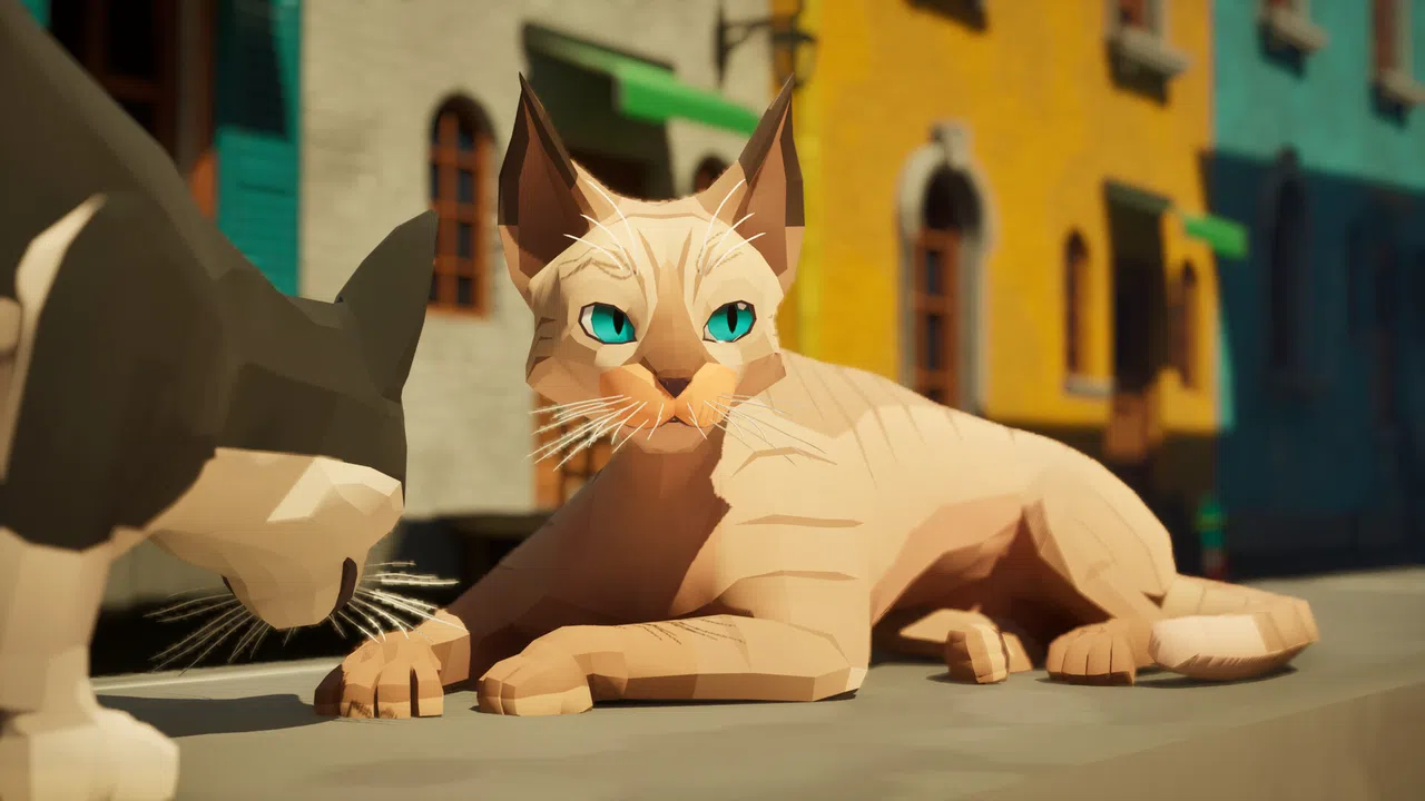 Cat a Photo Screenshot 3