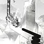 The Loong - Perfect icon