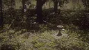 Vigilum Screenshot 10
