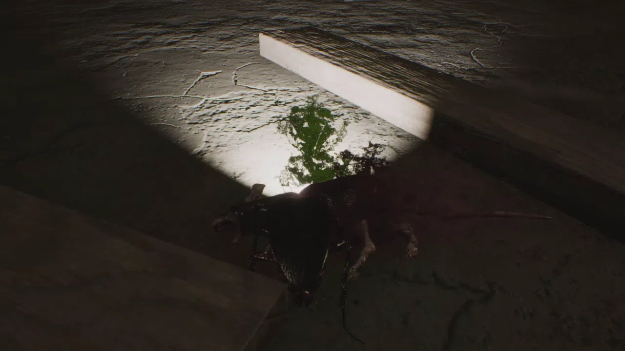 Cockroach Simulation Screenshot 8