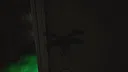 Cockroach Simulation Screenshot 9
