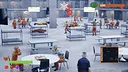 Crown Criminal | Survival Block B BETA Screenshot 1
