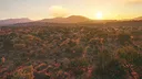 theHunter: Call of the Wild™ - Rancho del Arroyo Screenshot 3