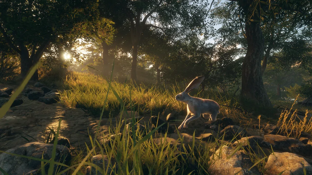 theHunter: Call of the Wild™ - Rancho del Arroyo Screenshot 7
