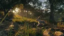 theHunter: Call of the Wild™ - Rancho del Arroyo Screenshot 7