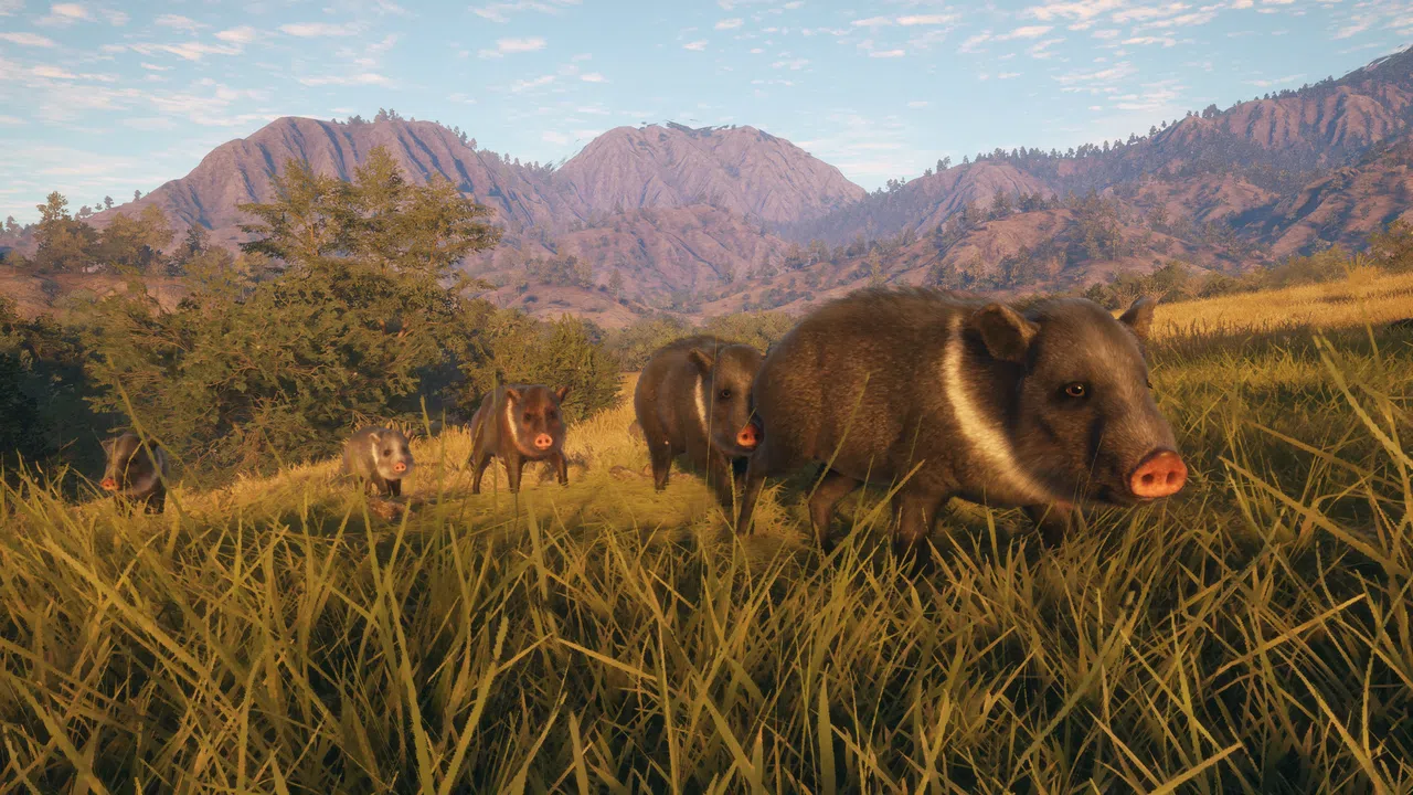 theHunter: Call of the Wild™ - Rancho del Arroyo Screenshot 4