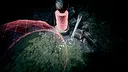 Vision Quest: A New Ascent Screenshot 5