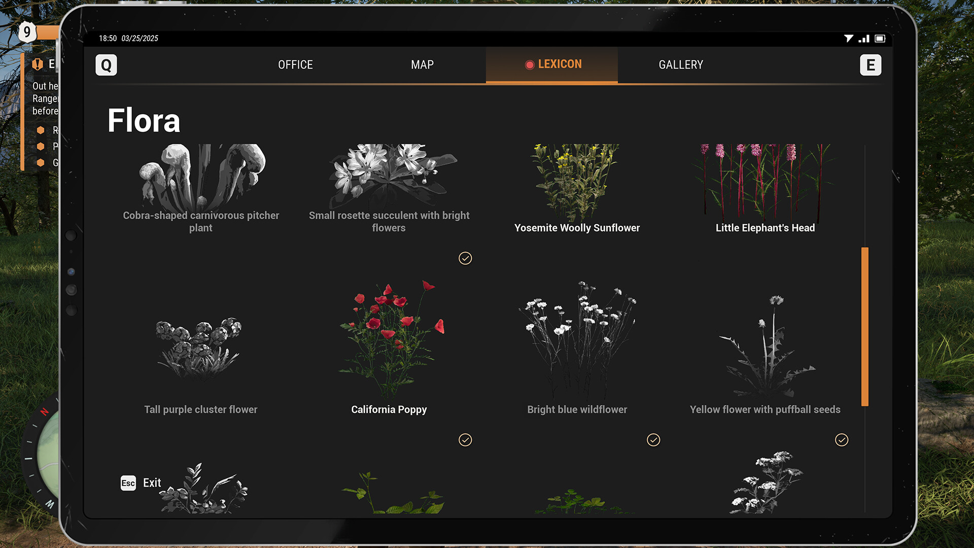 Ranger’s Path: National Park Simulator Demo Screenshot 7