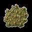 State Network Completion: 40 icon