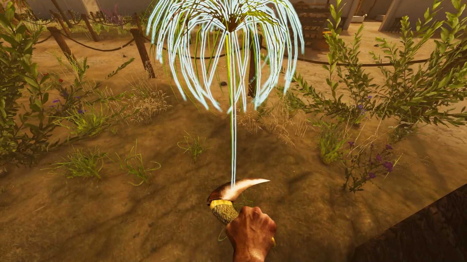 Egypt Frontiers Screenshot 12