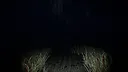 The Lost Within Demo Screenshot 4