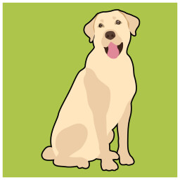 My Dog Loves to Fetch icon