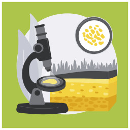 Learning Soil Analysis icon