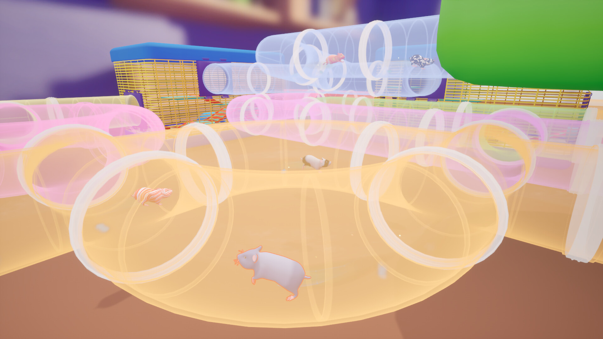 Hamster Hustle Screenshot 0