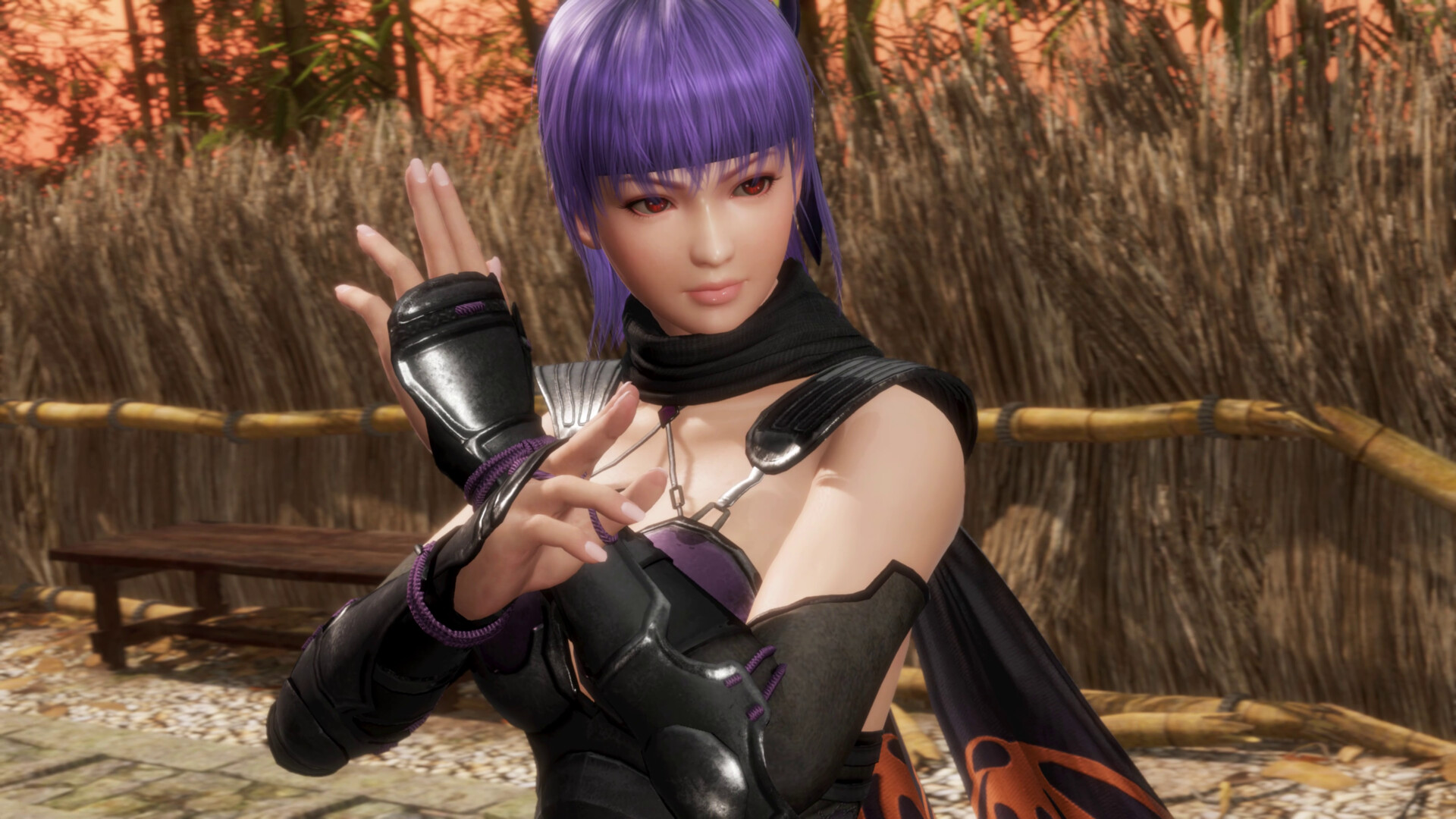 DEAD OR ALIVE 6 Last Round Screenshot 2