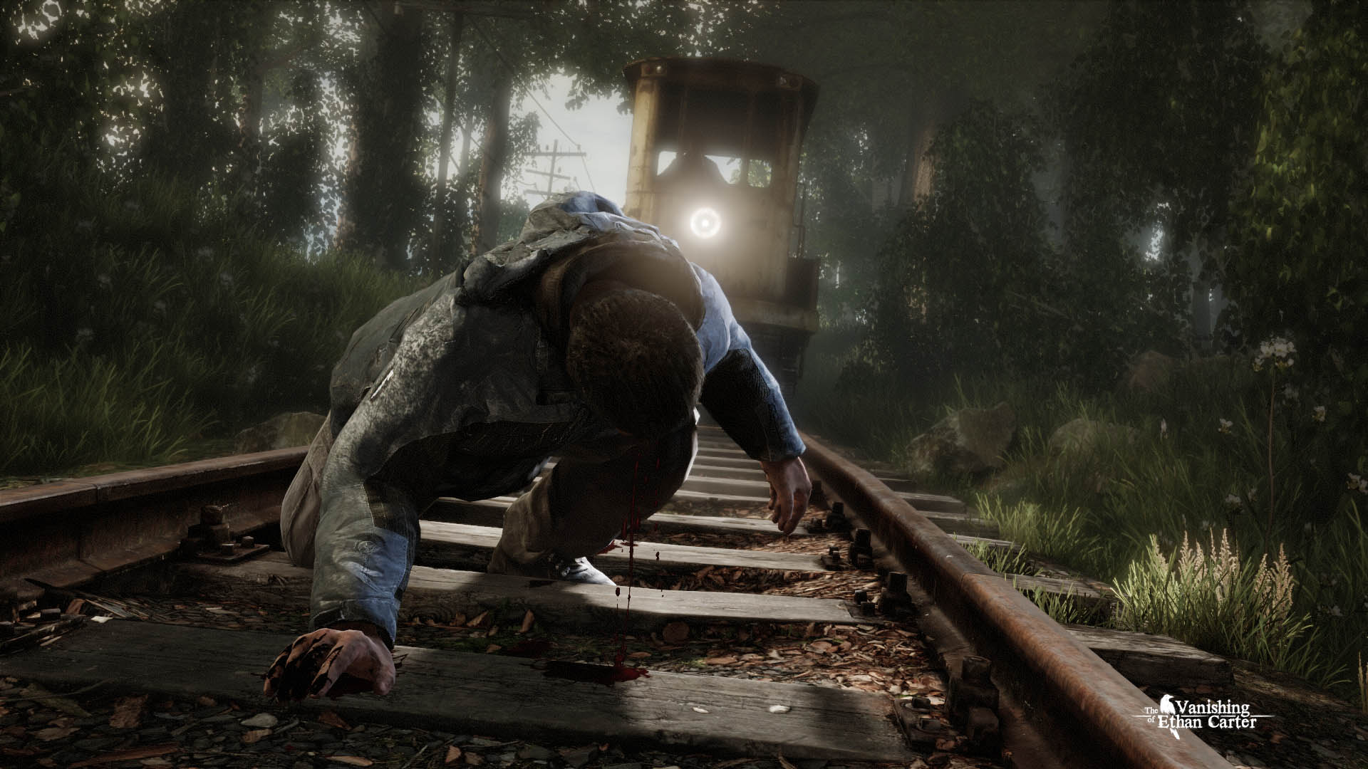 The Vanishing of Ethan Carter Screenshot 0