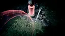 Vision Quest: A New Ascent Demo Screenshot 5