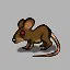 Pack Rat icon