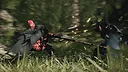 Wind Tiger Cloud Dragon Screenshot 3
