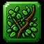 Run Forest icon