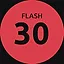 Flash ×30 icon