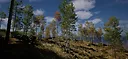 ISLAND：THE LAST Screenshot 1