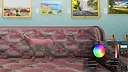 Animal Chameleon Screenshot 3