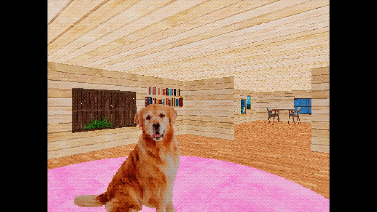 TAKE CARE OF THE DOG Screenshot 1