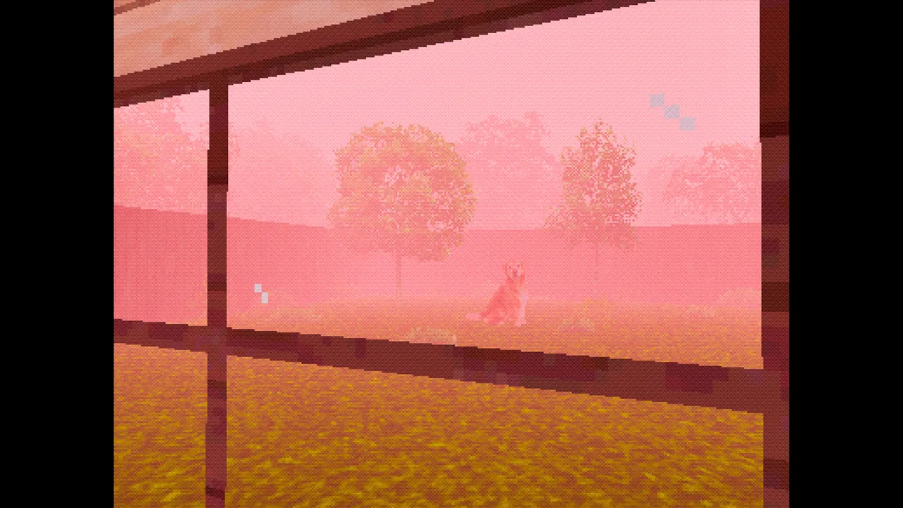 TAKE CARE OF THE DOG Screenshot 4