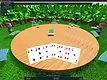 Railroad Rummy Screenshot 2