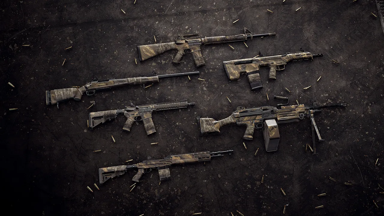 Insurgency: Sandstorm - Endurance Weapon Skin Set Screenshot 1
