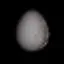 The Egg icon