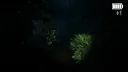 Forest Lookout Screenshot 2